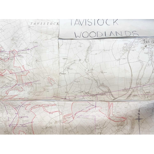 165 - 'Ding Dong Mine, Tavistock,' Hand drawn cross sectional of Dyers Shaft on tracing paper, scale 1 inc... 