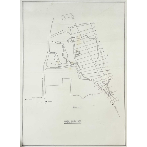 168 - Mine plans and surveys. Printed on thick tracing paper including for Wheal Prosper, 'Plan of Area of... 