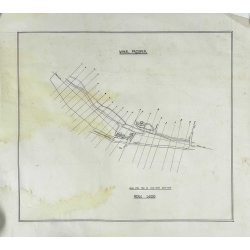 168 - Mine plans and surveys. Printed on thick tracing paper including for Wheal Prosper, 'Plan of Area of... 