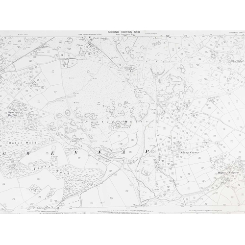 169 - Cornwall Tin & Mining Corporation. Gwennap, Cusgrane area, St Day Composite map 1:2500 showing geolo... 