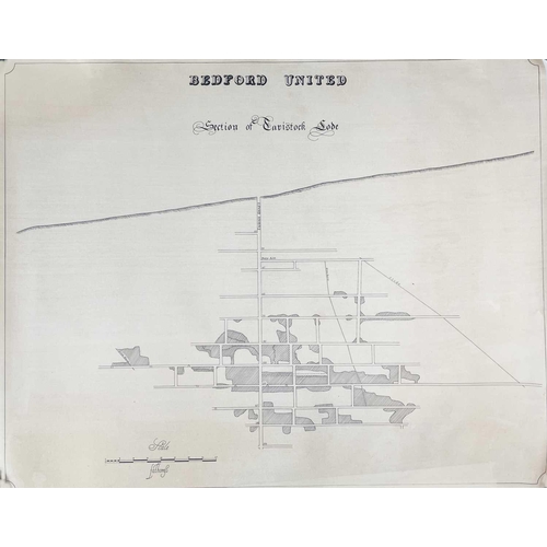 180 - Devon Great Consols. A large collection of surveys, plans, and maps including a late 19th/early20th ... 