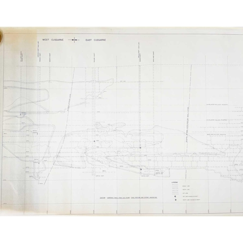 196 - 'Carnon Consolidated Tin Mines Ltd,' Longitudinal Section Hand coloured areas with blue showing exca... 