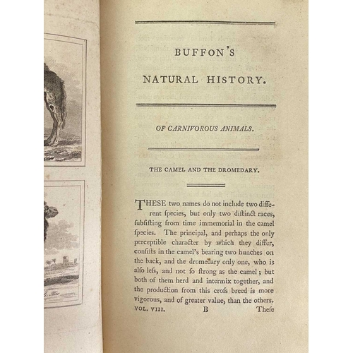 330 - 18th century odd volumes Eleven works Ramsay Chevalier. 'The Travels of Cyrus,' vol II only, second ... 