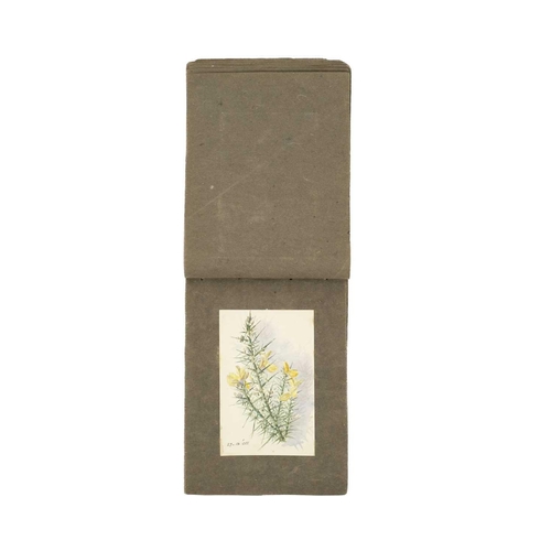 334 - An early 20th Century sketchbook of watercolours with a botanical interest Together with another ske... 