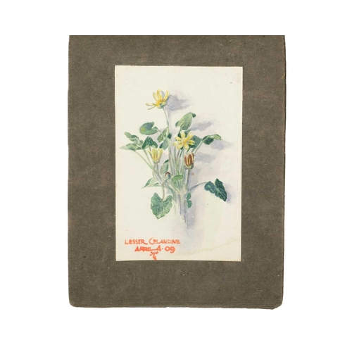 334 - An early 20th Century sketchbook of watercolours with a botanical interest Together with another ske... 