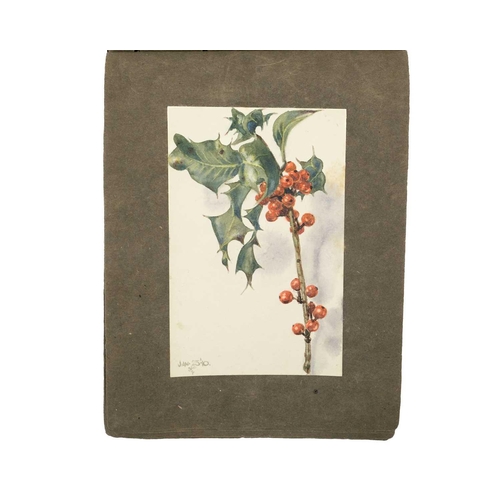 334 - An early 20th Century sketchbook of watercolours with a botanical interest Together with another ske... 