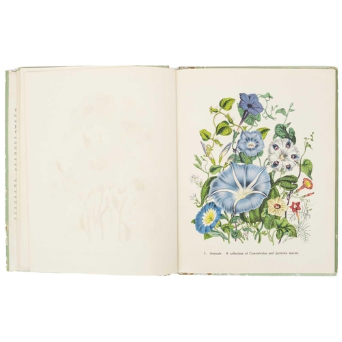 383 - REDOUTE, Pierre-Joseph Roses 2 Ex-libris of Ella Naper with inscription, given as a gift on her wedd... 