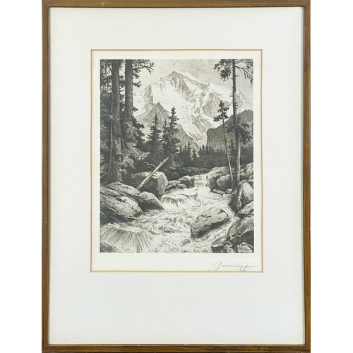 431 - An Early 20th Century Alpine Etching Indistinctly signed in graphite to the margin Plate size 30cm x... 