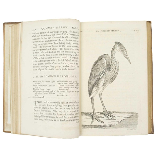 458 - (Thomas Pennant) Pennant's British Zoology Two volumes. Full polished calf, cellophane repair to fro... 