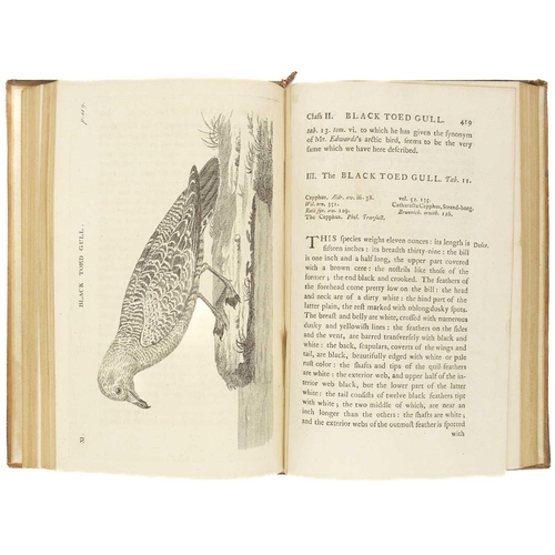 458 - (Thomas Pennant) Pennant's British Zoology Two volumes. Full polished calf, cellophane repair to fro... 