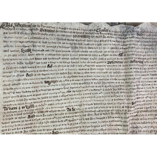 475 - Bolenowe. Elizabethan vellum indenture Lands in Balenowe, Barepperr. Parties Hanibal Nangelyn of Gul... 