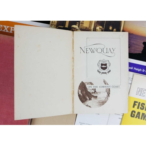 8 - Newquay interest. 'Newquay. On the Cornish Coast,' a charming early 20th century tour guide with bri... 