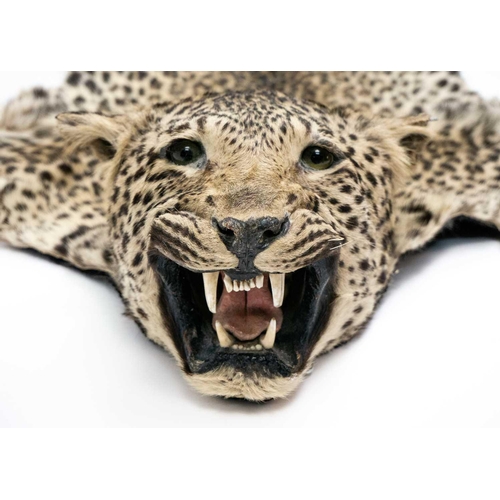 124 - An early 20th century Leopard skin rug. With head mount and mouth agape backed onto felt, length 196... 