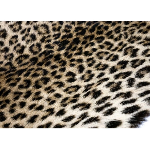 124 - An early 20th century Leopard skin rug. With head mount and mouth agape backed onto felt, length 196... 