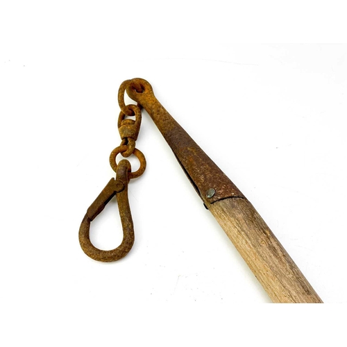 139 - An iron horse tether chain. Together with a pair of livestock hobbles and bull leader. (3)
