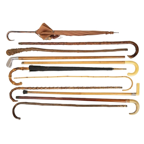 143 - A collection of eleven walking canes and umbrellas. One with silver mount, tallest 94cm.(11)
