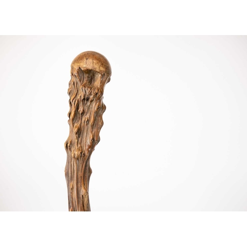 143 - A collection of eleven walking canes and umbrellas. One with silver mount, tallest 94cm.(11)