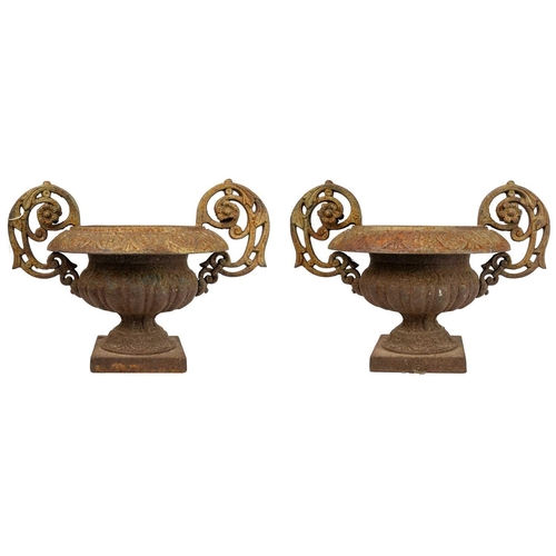 529 - A pair of French cast iron twin handled campana urns. On square bases, height 31cm width 43cm. The h... 