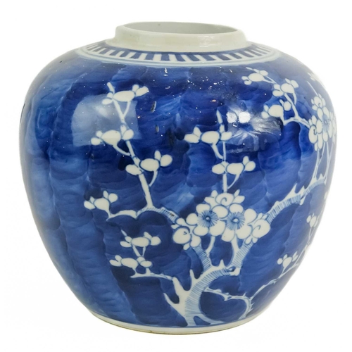 467 - Two Chinese blue and white prunus blossom pattern ginger jars, late 19th century. Largest height 16c... 