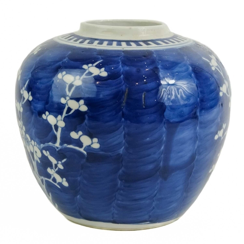 467 - Two Chinese blue and white prunus blossom pattern ginger jars, late 19th century. Largest height 16c... 