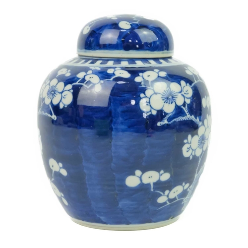 624 - A Chinese blue & white prunus blossom pattern ginger jar & cover, circa 1900. Height 16cm, width 12c... 