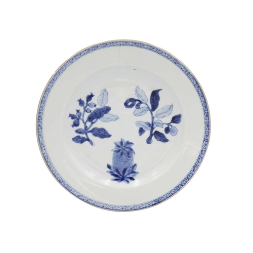 70 - A Chinese blue and white porcelain shallow bowl, Kangxi period. Decorated with a dog of fo, diameter... 