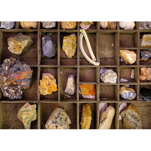 101 - A collection of minerals and fossils. Mostly labelled, To include fluorite, blue john, leopard jaspe... 