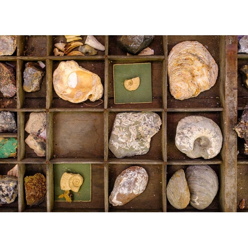 101 - A collection of minerals and fossils. Mostly labelled, To include fluorite, blue john, leopard jaspe... 