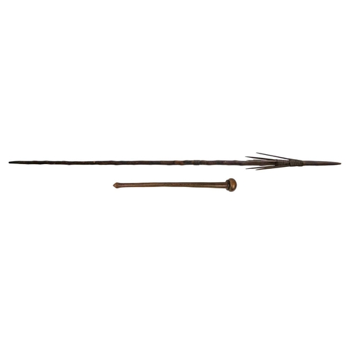 203 - A throwing stick. Possibly Fijian length 47cm together with a spear. (2) Maurice Jenkins (1933-2022)... 