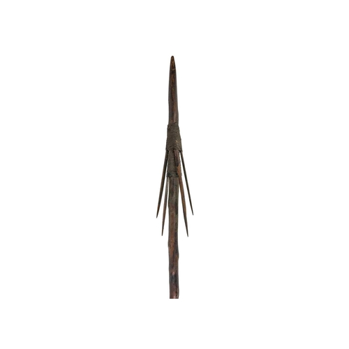 203 - A throwing stick. Possibly Fijian length 47cm together with a spear. (2) Maurice Jenkins (1933-2022)... 