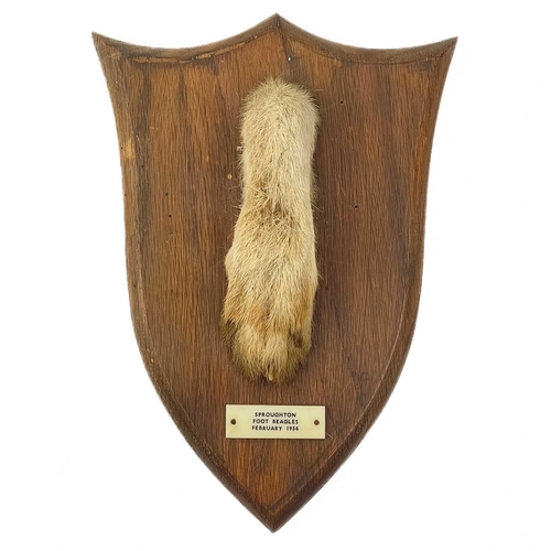 33 - A French taxidermy deer slot. Mounted on an oak plaque with presentation inscription dated 1963, wit... 