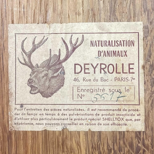 33 - A French taxidermy deer slot. Mounted on an oak plaque with presentation inscription dated 1963, wit... 