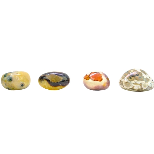 34 - A collection of polished minerals. To include; Petrified wood, blue calcite, polychrome jasper, ocea... 