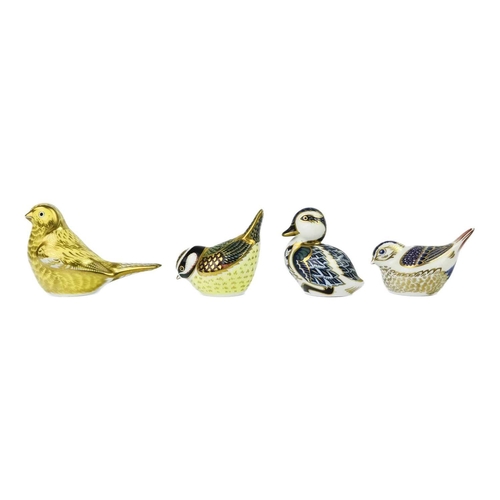 349 - Four Royal Crown Derby paperweights. Comprising 'Canary', 'Duckling', 'Firecrest' and 'Blue Tit'.