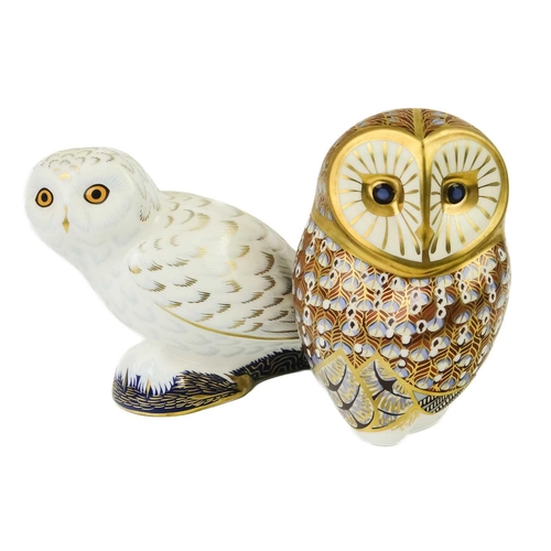 358 - Two Royal Crown Derby paperweights. Comprising 'Barn Owl' and 'Snowy Owl'.