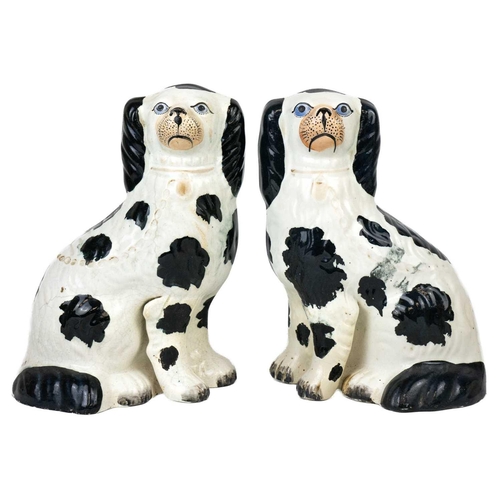 432 - A pair of Staffordshire pottery spaniel figures. Painted with blue eyes height 24.5cm together with ... 