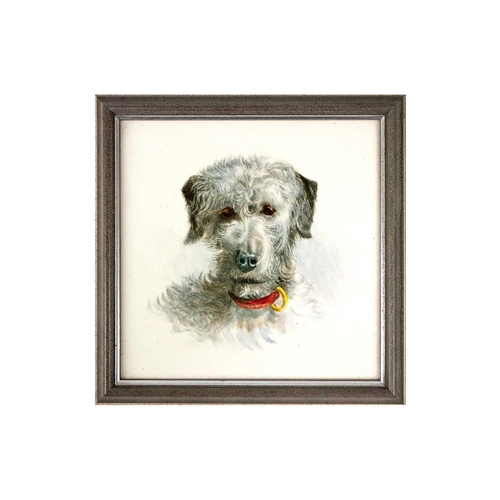 434 - A Minton square tile painted with a portrait of a Dandy Dinmont terrier Late Victorian, wearing a re... 