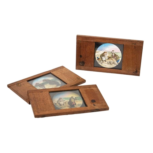 5 - Magic Lantern Slides, Hand painted. Alice's Adventures in Wonderland & Through the Looking Glass. Af... 