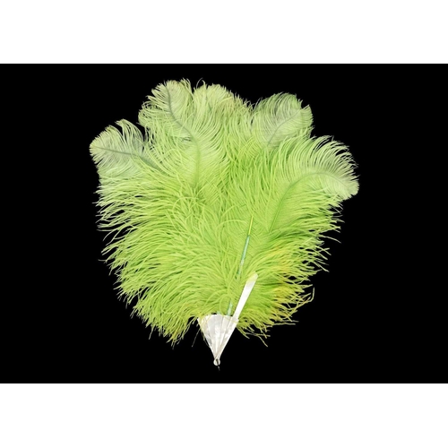 520 - A lime green ostrich feather fan with mother-of-pearl guard sticks. Reputedly carried to Court - Buc... 