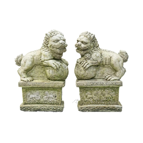 544 - A pair of reconstituted stone Chinese lion dog garden ornaments. Height 51cm.