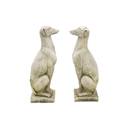 545 - A pair of small reconstituted stone seated whippet garden ornaments. Height 56cm.