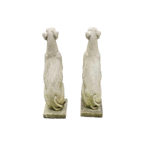 545 - A pair of small reconstituted stone seated whippet garden ornaments. Height 56cm.