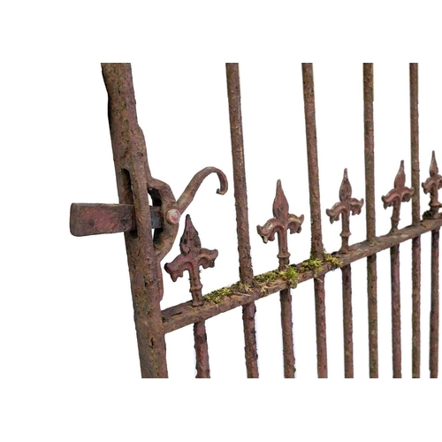 555 - A 19th century wrought and cast iron pedestrian gate. With two rows of fleur de lys finials. Maximum... 