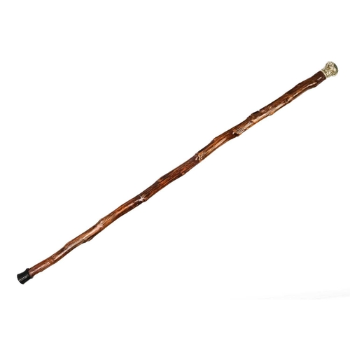 87 - A Victorian ebonised walking cane. The gilt metal terminal with repousse decoration and a snake, the... 