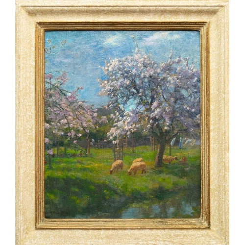 15 - Adrian Scott STOKES (1854-1935) Springtime in an Orchard, with Sheep Oil on board, signed, 45 x 36cm... 