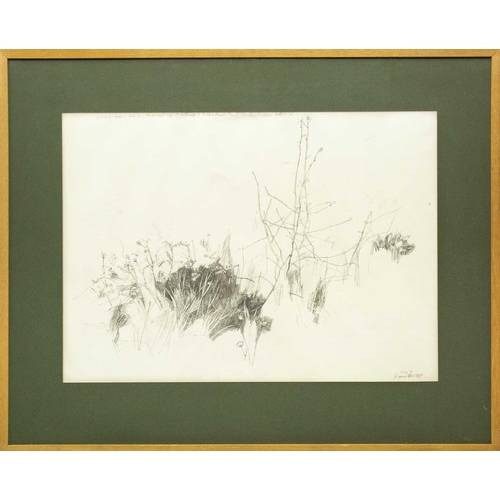 379 - Francis HEWLETT (1930-2012) Grass - Study for Chez Nous (1976) Graphite on paper, signed and dated '... 