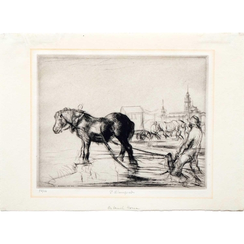 400 - Edmund BLAMPIED (1886-1966) Ostend Horse, 1926-27 Drypoint, signed, titled and numbered 96/100 in pe... 