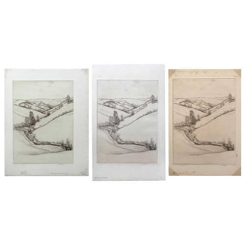 444 - Kerr EBY (1889-1946) Spring in Cornwall, 1925 Three etchings, two from the edition of 90 and one tri... 