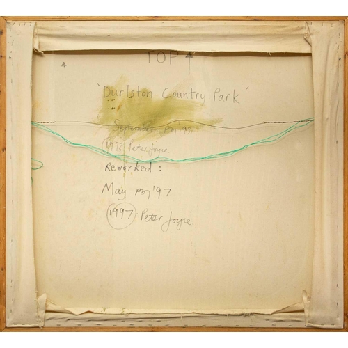 53 - Peter JOYCE (1964) Durlston Country Park, 1993 - 1997 Mixed media on canvas, initialled and dated '9... 