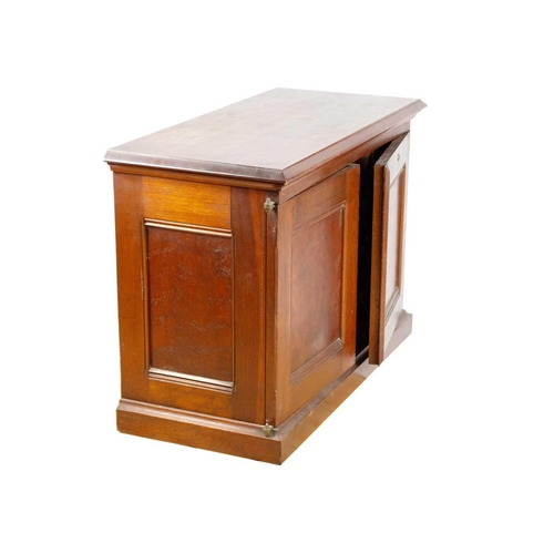 286 - A mahogany solicitors cabinet, early 20th century. The pair of panelled doors opening to reveal eigh... 